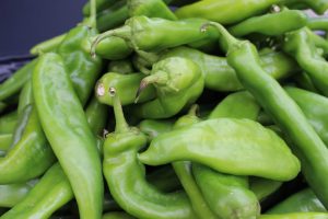Stormans-Hatch-Chile-Fest-Hatch-Chiles-Fresh