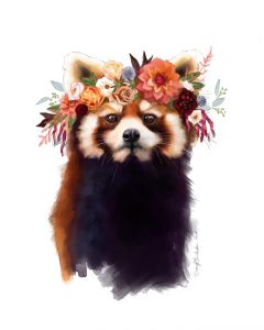 artist Darcy-Goedeck-Red-Panda