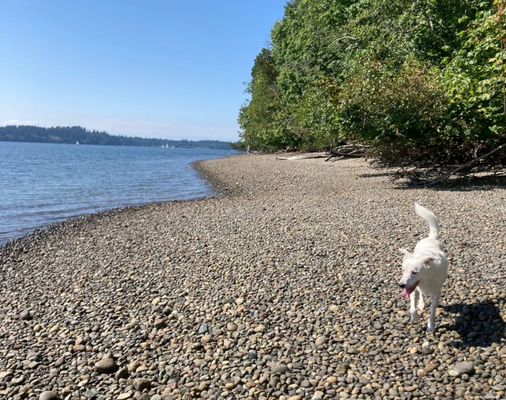 Olympia Waterfront-Trails-Priest-Point