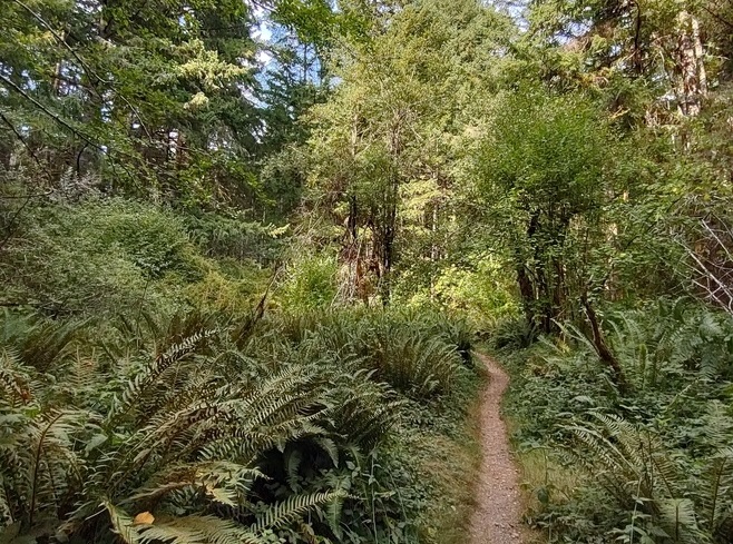Thurston County Walk Grass-Lake-Nature-Trail-Olympia-Washington Thurston County Walk Grass-Lake-Nature-Trail-Olympia-Washington