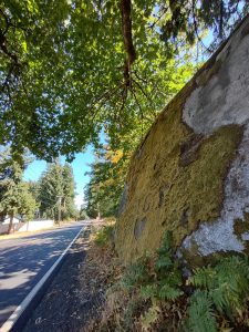 Erratic-boulder-Lake-Lawrence-Rainier-Washington