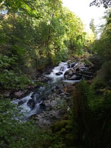 Middle-Falls-Brewery-Park-at-Tumwater-Falls