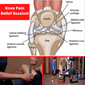 Penrose Physical Therapy Knee pain