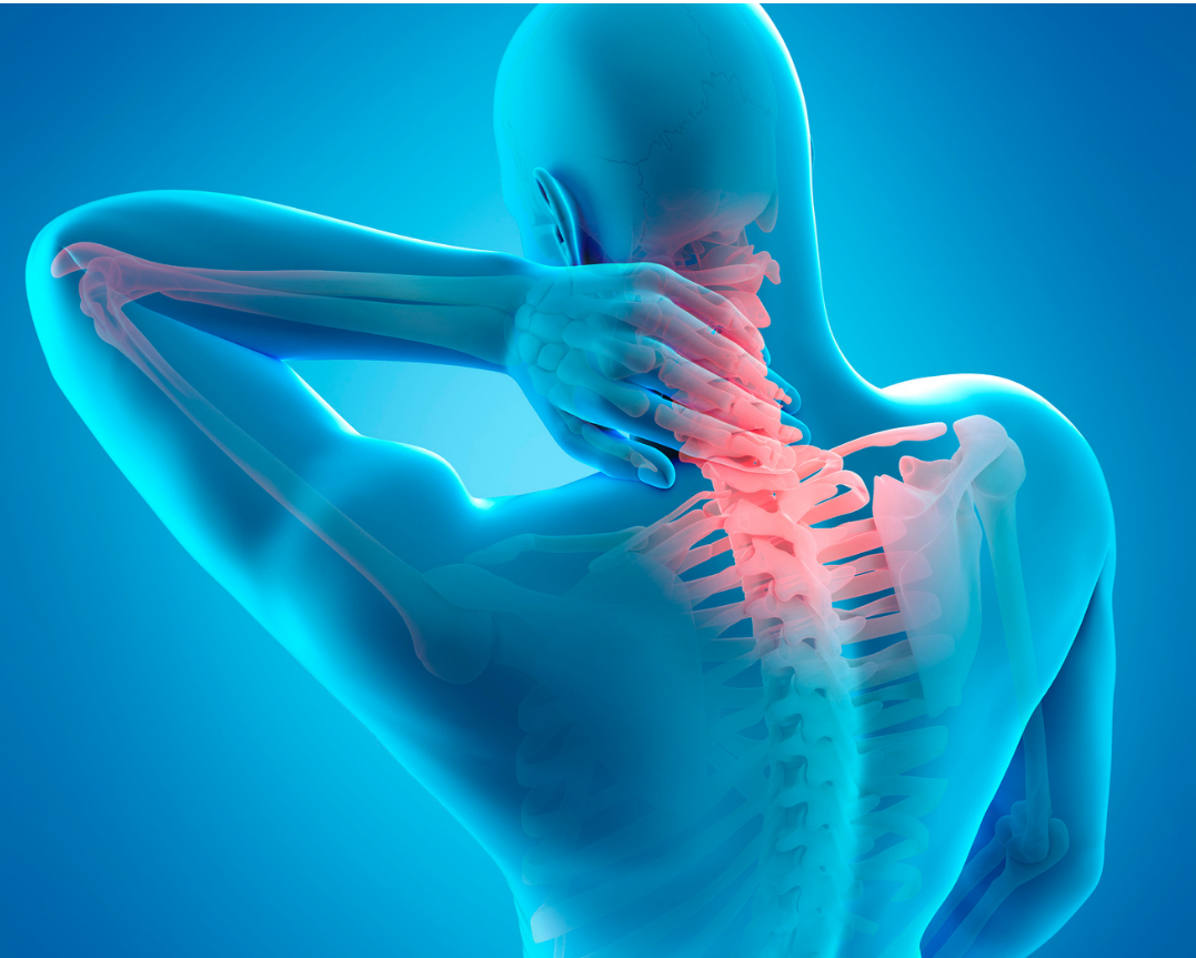 Back & Neck Pain, Capitol Physical Therapy