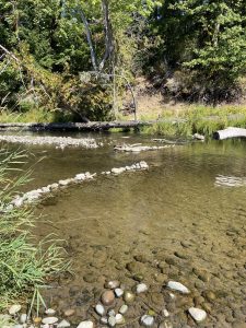 Day trip bike riding Chehalis-Western-Trail-Deschutes-River-Access