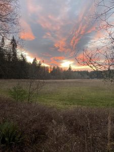 Day trip bike riding Chehalis-Western-Trail-Sunset