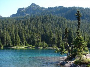  Fay-Fuller-mount-rainier-history-fay-peak