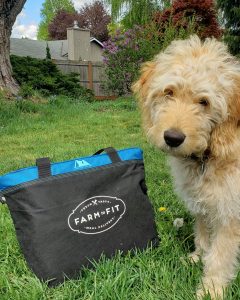 Farm-to-Fit-Delivery-Bag