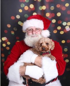 Santa photos pet works