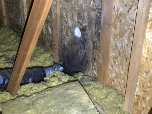 Boggs-Inspection-Services-Puget-Sound-Mold-Inspector-Causes