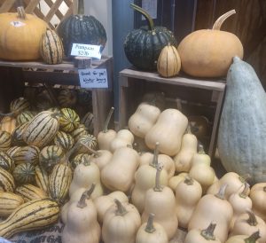 Olympia Farmers Market-Winter-Squash