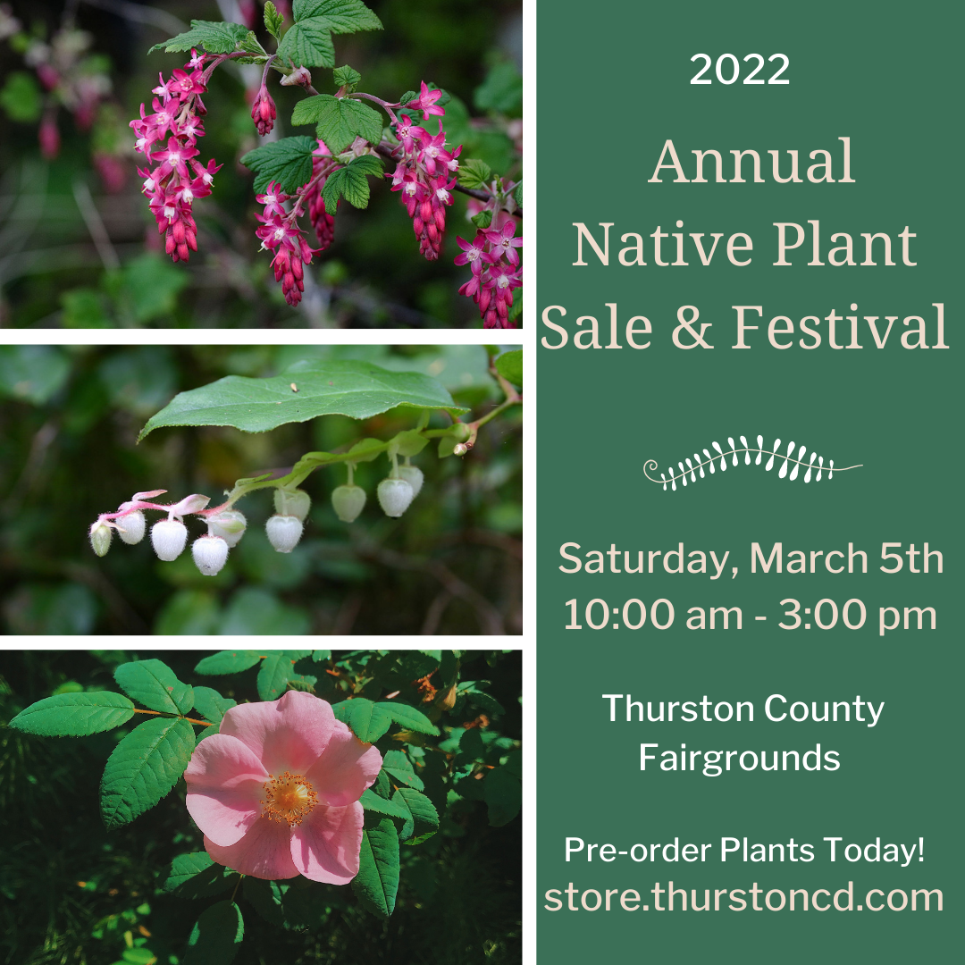 2022 Annual Native Plant Festival & Sale ThurstonTalk