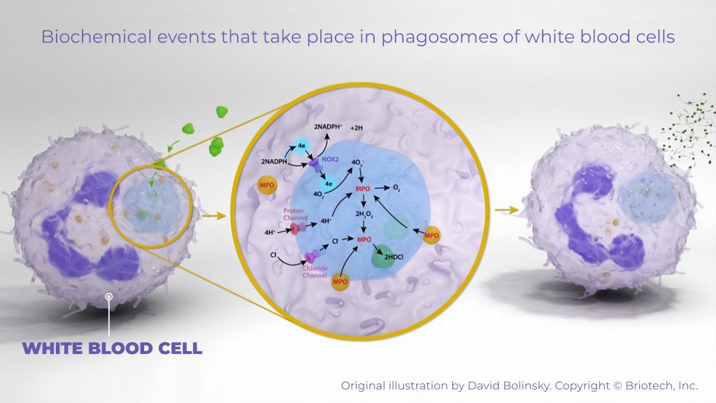 HOCL Briotech-YouTube-and-book-research-pathogens