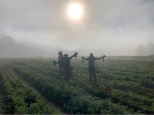 thurston county farmers winter CSA 4