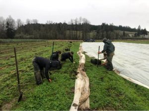 thurston county farmers winter farm to table 03