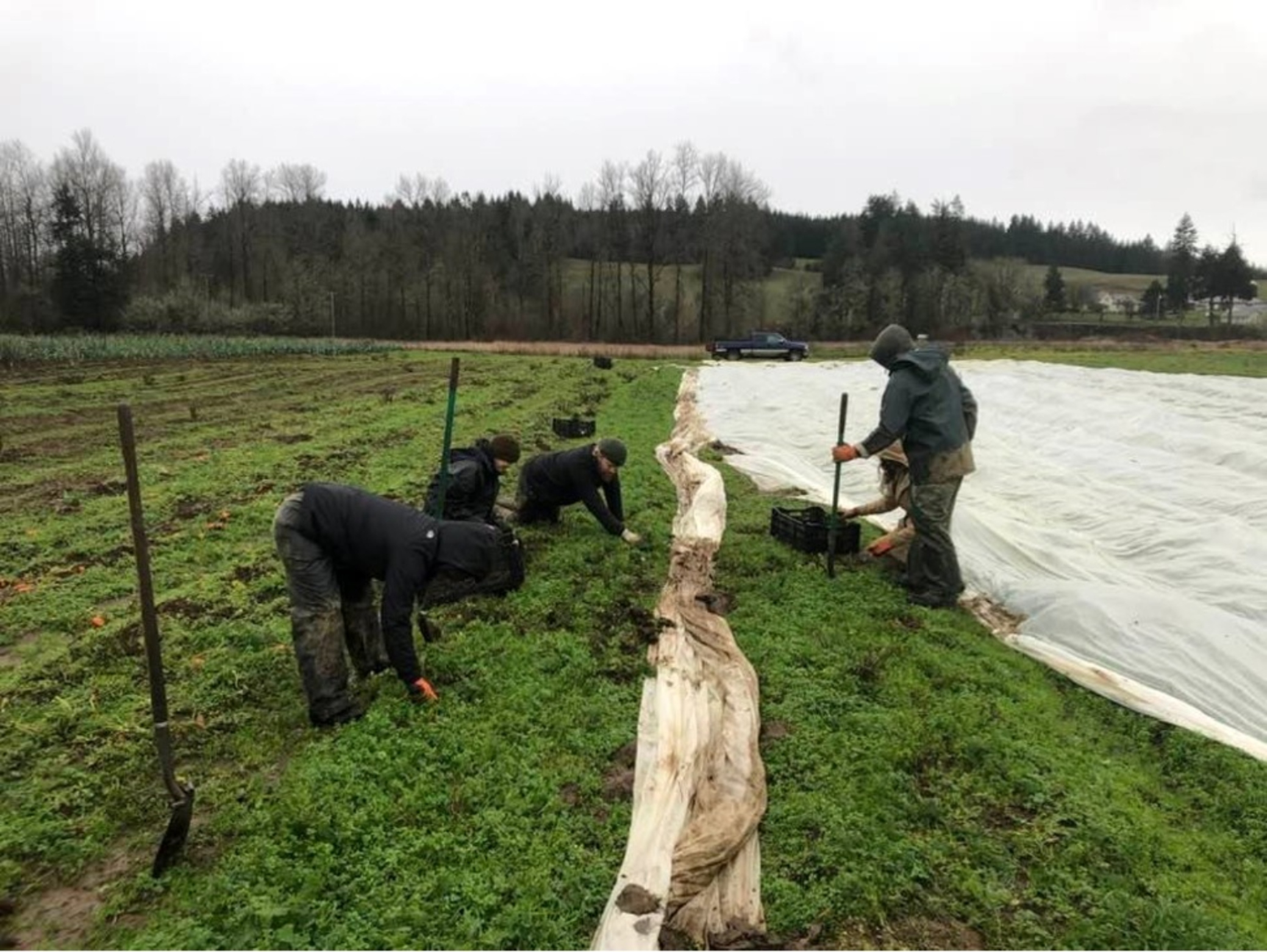 A Thurston County High School FFA Chapter Is Now the Largest in