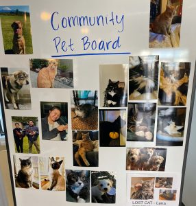 Compounding pharmacy-NW-Remedies-Pet-Board