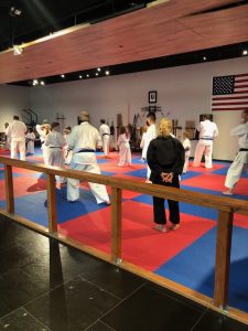 Rising-Tide-Karate-Capital-Mall-Olympia-class-