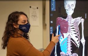 north thurston public schools 3d interactive anatomy tables 1