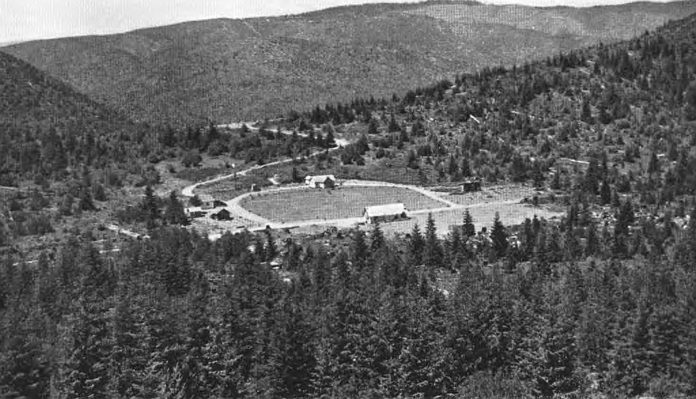 An aerial view of the Capitol State Forest Nursery, previously used by the Civilian Conservation Corps and later used as the Cedar Creek Youth Camp.