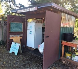 Littlerock Sharing Spot, shed with fridge and shelves for food