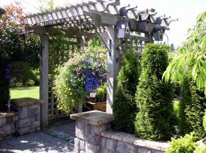 Trellis and walkway with shrubs surrounding it