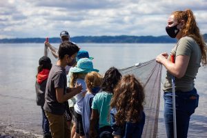 Kids helping with a fishing net in the South Sound at a Puget Sound Estuarium summer camp