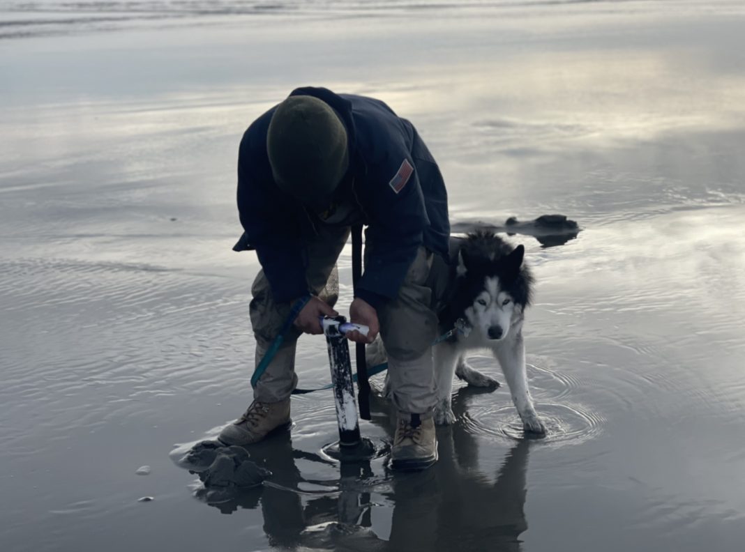 man bent over using clam gun in the sand with a husky next to him