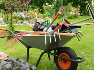 wheeborrow on grass full of gardening supplies