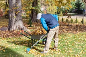 Man raking leaves with back pain