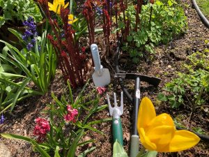 garden with flowers and yard tools