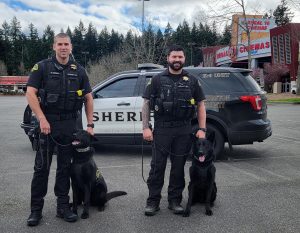 Thurston County K9 Bowie and Igo with their handlers