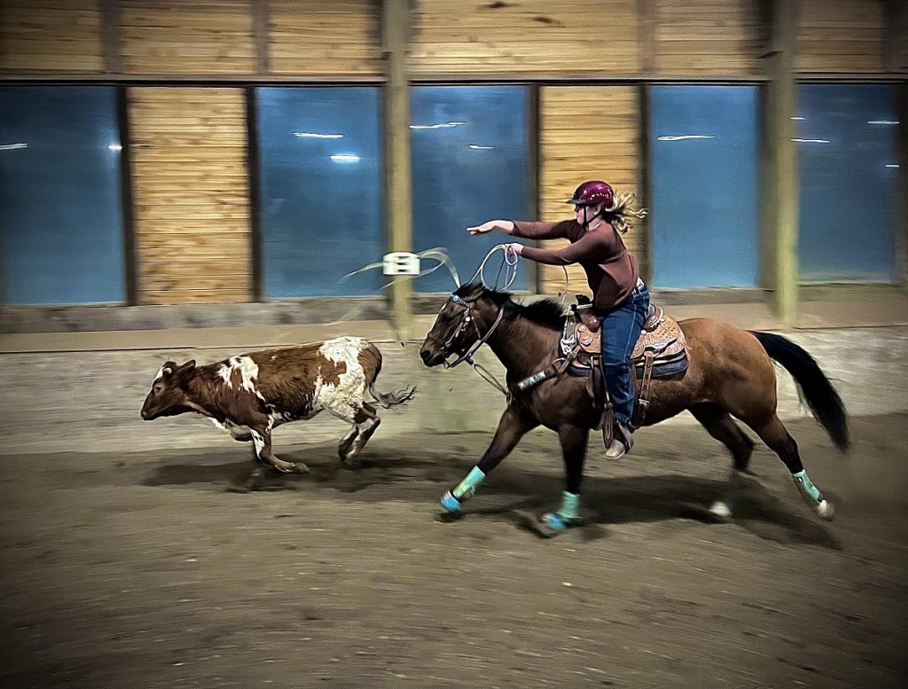 Morgan on Hoby chasing a steer with a rope