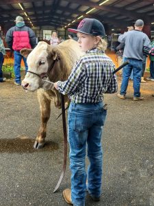 Crew Hicks with his market steer