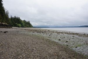 burfoot park beach and ocean