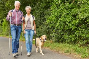 older couple walking with a yellow lab on a Lacey Park trail