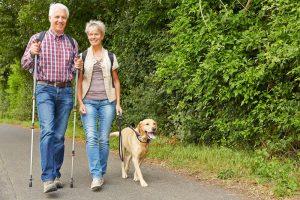 older couple walking with a yellow lab on a Lacey Park trail