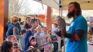 falconer showing a bird of prey to a group of kids at Summer Splash!