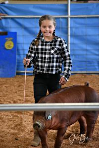 little girl with her big pig inside a show ring at the Grays Harbor County Fair