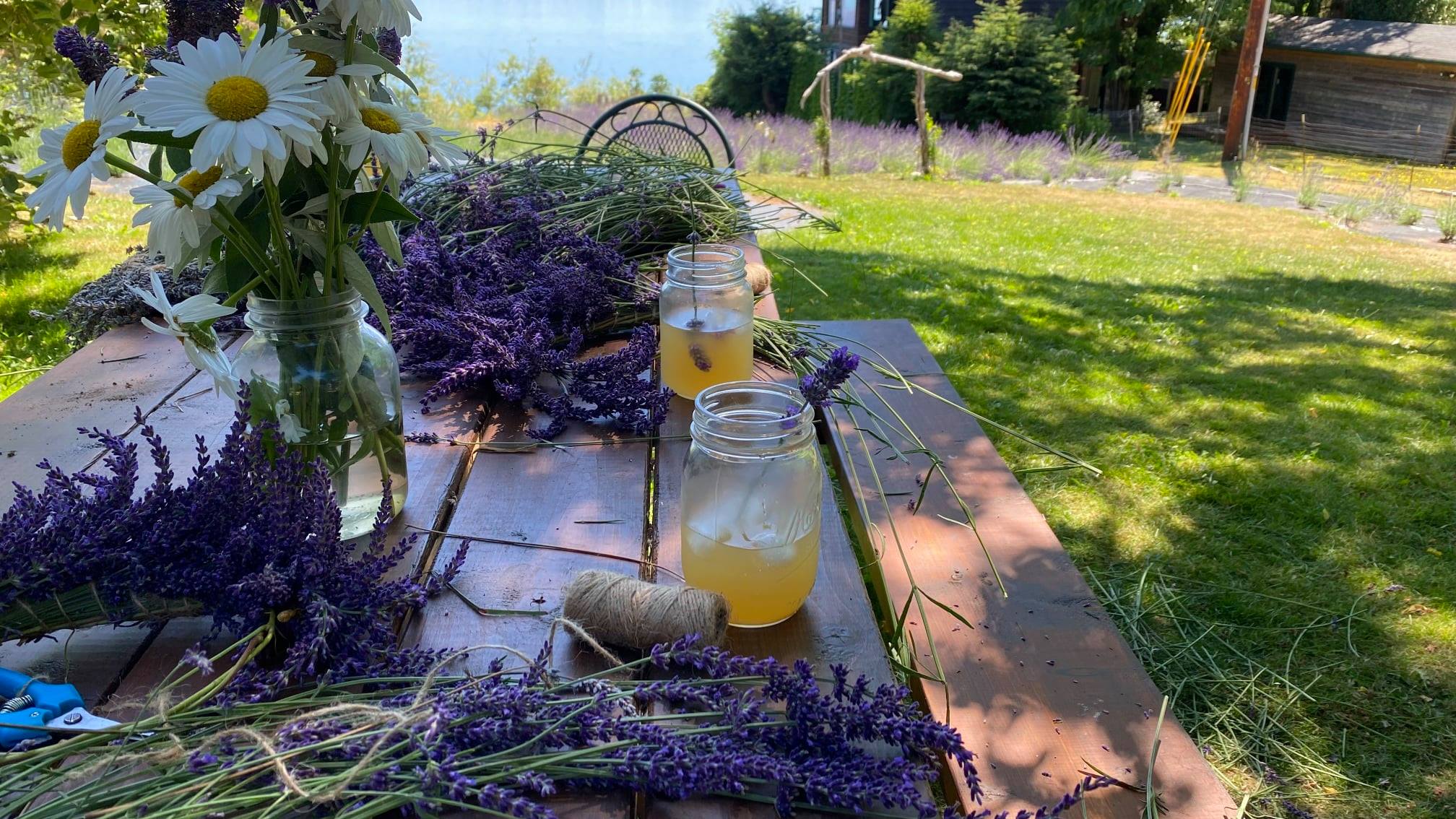 picnic table with lavender bouquets and wreath-making supplies like ribbon at Schirm Loop Homestead Lavender Farm