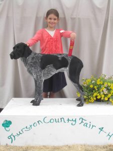Alaina Houser standing with her German shorthaired pointer on a judging table at the Thurston County Fair in 2013