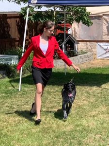 Alaina Houser showing her dog at the Puyallup State Fair 2017.