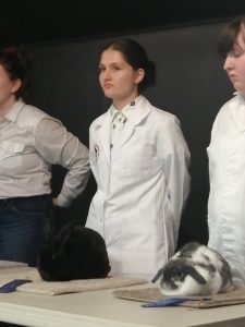 Eva C-M in her white 4-H show outfit standing behind her bunny on a table waiting to be judged