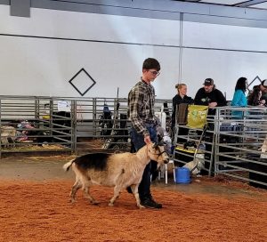 Will showing his goat, Oreo, at the 2022 Youth Spring Fair at the Southwest Washington Fairgrounds. 