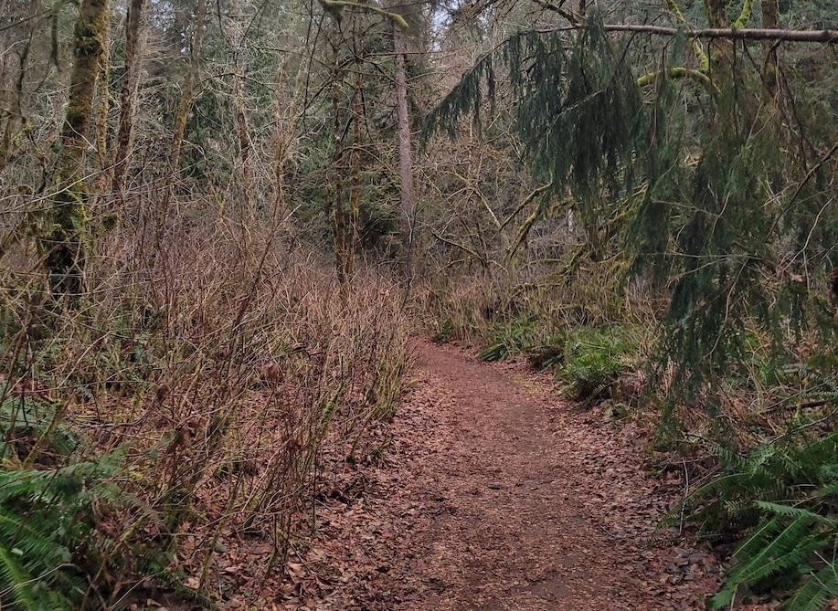Millersylvania State Park trail running path