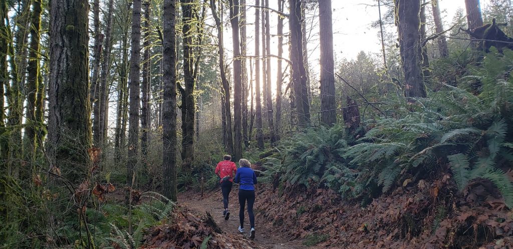 Mima Falls trail running area