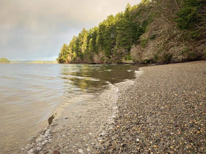 hike olympia Evergreen-Geoduck-Trail-Beach