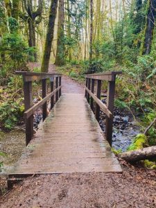 wooden bridge with railing on the Evergreen Geoduck Trail in Olympia