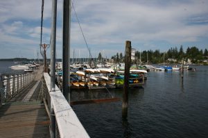 Boston Harbor Marina