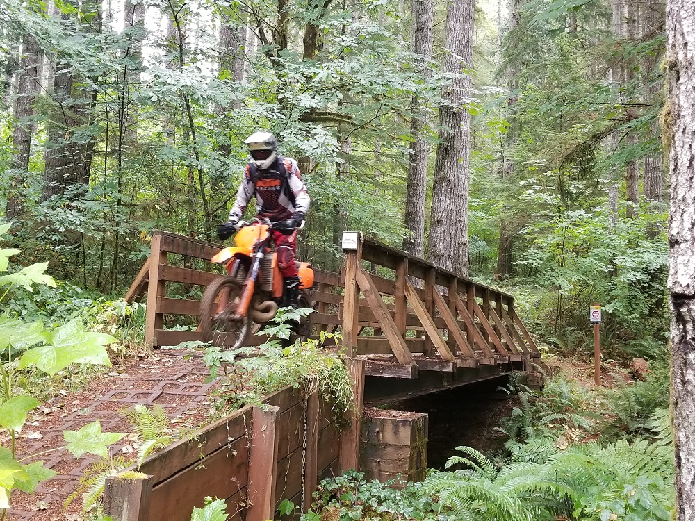 kid on dirt bike over bridge at Middle Waddell trail in the Capitol Forest